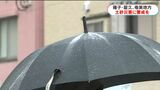 奄美地方で24時間に120ミリの雨予想 25日夜遅くにかけて土砂災害に警戒 鹿児島|TBS NEWS DIG