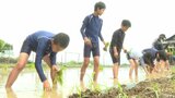 小学生が田植えを体験して地域の文化を学ぶ ため池群が世界農業遺産に認定 大分・国東市 | 大分のニュース|OBS NEWS|大分放送