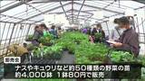 「生徒たちの苗育てて元気もらう」生徒育てた野菜の苗 格安販売 本吉響高校 気仙沼　|　宮城のニュース│tbc NEWS│tbc東北放送