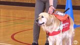 盲導犬キャラバンで中学生が役割学ぶ「１人でも多くの人に伝えたい」|TBS NEWS DIG