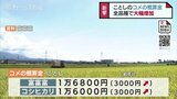 富山県産米は値上がりへ　コメの概算金ここ10年で最高額に　需要の高まりなど背景に　　|　富山のニュース｜天気・防災｜チューリップテレビ