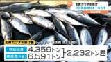 カツオ水揚げ「28連覇」でストップ 震災後最低下回る記録的な不漁 宮城・気仙沼市|TBS NEWS DIG