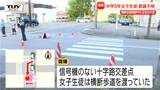 【現場動画】横断歩道で停まった車を追い抜こうとした車が、中3女子はねる 意識不明…62歳男を現行犯逮捕(山形・酒田市) | 山形のニュース│TUYテレビユー山形