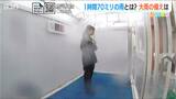 20日に観測した『1時間で70ミリの雨』とは… 新潟県内では直近20年で“非常に激しい雨”が倍増 | 新潟のニュース・天気|BSN NEWS|BSN新潟放送
