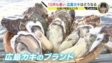 異例の猛暑で “冬の味覚” にも異変「我慢して良くなってから」水揚げ解禁を３週間延期「春までおいしい」広島カキ　|　RCC NEWS | 広島ニュース | RCC中国放送