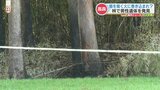 高森町の林の中で「男性の遺体」を家族が発見　熊本　|　熊本のニュース｜RKK NEWS｜RKK熊本放送
