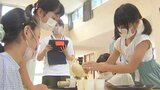 お茶をおいしくするには水の温度を変える 小学生にお茶のいれ方教室 | 大分のニュース|OBS NEWS|大分放送