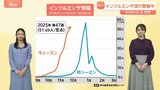 「30人検査すると20人陽性」感染拡大のインフルエンザ　“正しい手の洗い方”をおさらい【SUNトピ】|TBS NEWS DIG