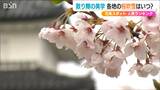 桜は“散るからこそ”美しい『まだ間に合う』お花見スポット人気ランキング 新潟県|TBS NEWS DIG