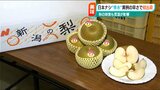 「苦労したのは水やり」“異例の早さ”で出荷始まる秋の味覚 ナシ「幸水」 原因は“気温の高さと水” 新潟市南区|TBS NEWS DIG