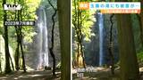 玉→スジに!? 大雨の影響…有名な玉簾の滝に”水の形”が変わる被害(山形) | 山形のニュース│TUYテレビユー山形
