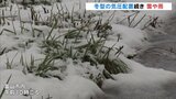 冬型の気圧配置が続き雪か雨 27日も冬型の見込み 富山 | 富山のニュース|天気・防災|チューリップテレビ