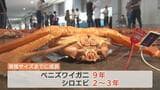ベニズワイガニとシロエビ “過度に獲らないで”…能登半島地震の海底地すべりで漁獲量が減少 水産研究所が中間報告 富山 | 富山のニュース|天気・防災|チューリップテレビ