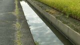 用水路に女性 うつぶせの状態で死亡 近くに自転車 | 熊本のニュース|RKK NEWS|RKK熊本放送