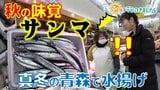 秋の味覚「サンマ」が真冬の青森県で水揚げ!?「初めてだよ」鮮魚店も驚き【朝イチ行ってきました】 | 青森のニュース│ATV NEWS│青森テレビ