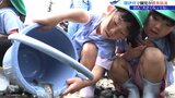 閉伊川で幼稚園児がヤマメの稚魚およそ5000尾を放流 岩手・宮古市|TBS NEWS DIG