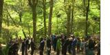 キャニオニングなどアウトドアで人気!GWを前に足摺宇和海国立公園・滑床渓谷で山開き | 愛媛のニュース - Nスタえひめ|あいテレビは6チャンネル