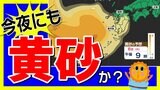 【きょう夜 黄砂飛来か?】鹿児島 熊本 宮崎に黄砂に関する気象情報発表 交通機関に影響のおそれ 黄砂のシミュレーション6日(火)~9日(金)【黄砂は日本のどこに来るのか】気象台発表を詳しく|TBS NEWS DIG