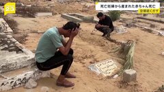 空爆続くガザ　胎内から救出された赤ちゃんが死亡| TBS CROSS DIG with Bloomberg