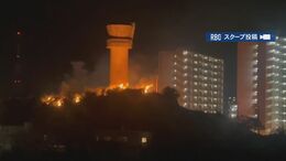 沖縄・西原町で原野から火柱　約140平方メートルの範囲で草木が焼ける　けが人なし|TBS NEWS DIG