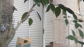 「自宅の冷凍庫に娘の死体を保管している」茨城県阿見町の無職の女（75）が自首　20年前に遺棄した旨の供述も　死体遺棄の疑いで逮捕|TBS NEWS DIG