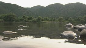 友人ら20人でバーベキュー中に… 川を泳いでいたブラジル人男性溺れ死亡 岐阜・本巣市|TBS NEWS DIG