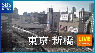 【ライブカメラ】“日本鉄道発祥の地”新橋を駆け抜ける新幹線&在来線の様子を24時間ライブ配信 | 静岡のニュース | SBSNEWS | 静岡放送
