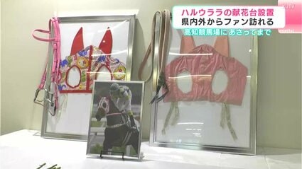 みんなのアイドルだったんだなって」ハルウララの献花台が高知競馬場に
