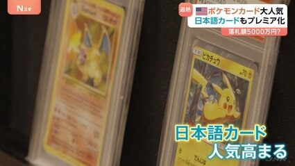 アメリカでポケモンカード人気が過熱！ 日本語カードに約5000万円 翻訳 