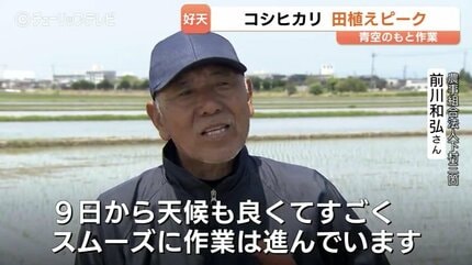 田植えの最盛期到来！青空の下で進む「コシヒカリ」苗植え 猛暑対策で
