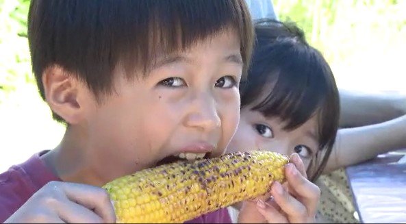 香ばしい焼きの匂いに誘われ「もろこし街道」賑わう…甘さはメロン並みの12～13度「そのままの味とは思えない甘さにびっくり…」砂糖なし100%コーンのスープも人気　|　SBC NEWS | 長野のニュース | SBC信越放送