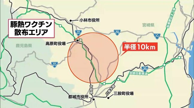 野生イノシシの「豚熱」感染拡大防止へ 宮崎県は2回目の経口ワクチン散布を開始|TBS NEWS DIG