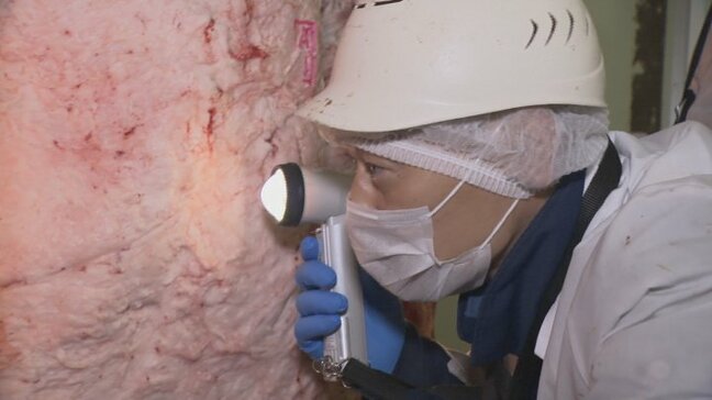 県産肉牛の審査会　31の畜産農家から61頭が出品　肉付きや霜降りの入り具合を入念に確認　山梨|TBS NEWS DIG