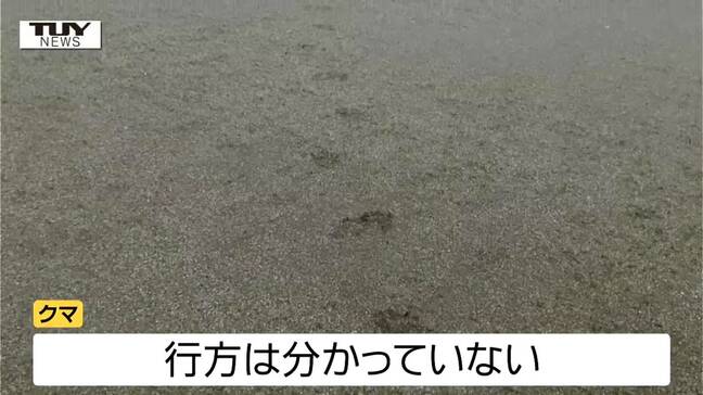 山形市の住宅街で木に登り柿を食べるクマ目撃　南陽市の小学校では足あとが　県民生活への影響続く（山形）|TBS NEWS DIG