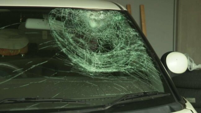 自転車が車に追突され男性(76)死亡 運転していた女性(69)を現行犯逮捕 愛媛・西予市|TBS NEWS DIG