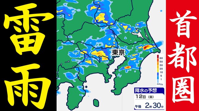 【東京首都圏】ゲリラ雷雨おそれ 警報級大雨か? 気象庁「気象解説情報」【雨・発雷確率シミュレーション / 大雨警報と土砂災害警報の可能性】東京・神奈川・埼玉・千葉・群馬・栃木・茨城・山梨・長野|TBS NEWS DIG