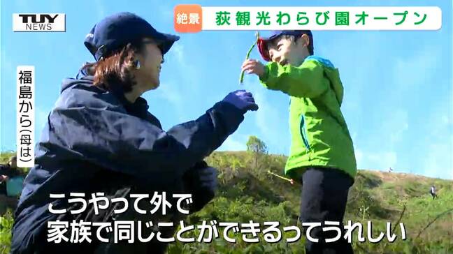 山々を一望できる絶景スポット！ 南陽市で "天空のわらび園" がオープン　親子連れの姿も！（山形・南陽市）|TBS NEWS DIG