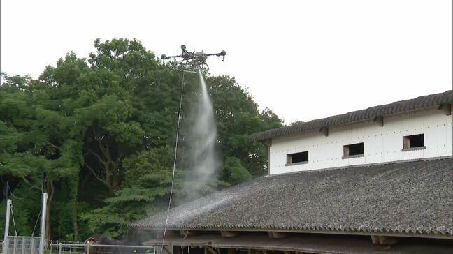 牛舎の屋根にドローンで”消石灰”散布 表面温度、最大30度下げる効果 佐賀県畜産試験場|TBS NEWS DIG