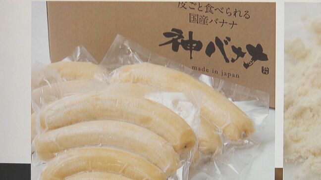 「みんなで大家さん」総額６４億円の出資集めたとみられる"神バナナ"の実態は？「栽培施設」あるとされる九州３か所を直撃　代表Ａ氏を追い奄美大島へ向かうも...あったのは荒れ果てたビニールハウスと空っぽのプレハブ【追跡取材第３弾】|TBS NEWS DIG