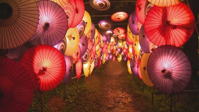大山寺に幻想的な傘の花　「大献灯和傘灯り」　鳥取・大山町　|　BSSニュース | BSS山陰放送