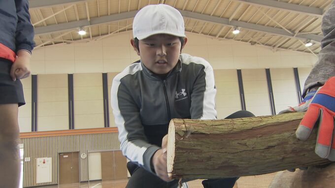 ｢どんどん進んでいくのが楽しかった｣小学校で森の学校 ノコギリで丸太切る体験　山口・周南|TBS NEWS DIG