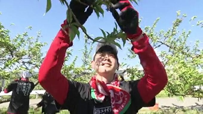 「サッカーと同じくらい楽しい」練習後に農作業！？福島ユナイテッドFC、震災後続く“農業部”の取り組み【J3】　|　福島のニュース│TUF