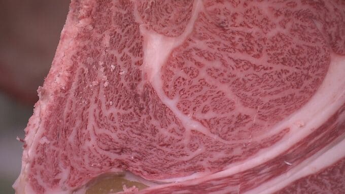 極上の牛肉、1キロ4500円で落札! 味自慢の牛肉が結集「県畜産共進会」 肥育技術向上に手ごたえ |TBS NEWS DIG