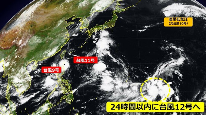 【台風情報】“トリプル台風”に続く台風12号発生へ　日本の南に熱帯低気圧　気象庁が進路予想発表　日本列島に向かい北上の可能性|TBS NEWS DIG