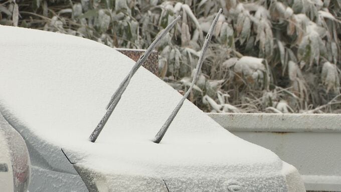 立冬…白馬で「初雪」　志賀高原の横手山周辺は「雪化粧」　菅平高原は最低気温が氷点下1.3度　長野地方気象台「東方連山の初冠雪」と発表　平年より13日遅く、23年より16日遅い観測|TBS NEWS DIG