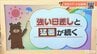 9月スタートも強い日差しと猛烈な暑さ続く　愛媛　|　愛媛のニュース - Nスタえひめ｜あいテレビは6チャンネル
