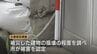 浸水被害 “り災証明書” 申請612件　当時の写真なしでも受付は可能か？富山県氷見市の災害認定調査　|　富山のニュース｜天気・防災｜チューリップテレビ