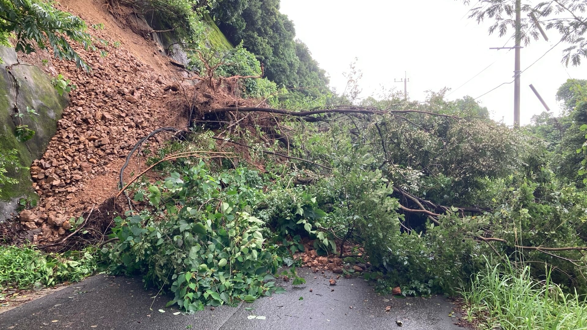 通行止め解除】天草市で市道のり面が15m崩落 風雨の影響か けが人なし