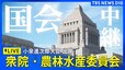 【国会LIVE】衆議院・農林水産委員会　小泉進次郎大臣出席　農林水産関係の基本施策について質疑（2025年6月5日）|TBS NEWS DIG