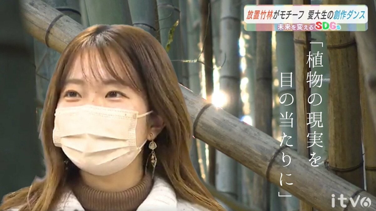 どうにもならないのでお手上げ状態」住民たちを悩ませる“放置竹林” 竹